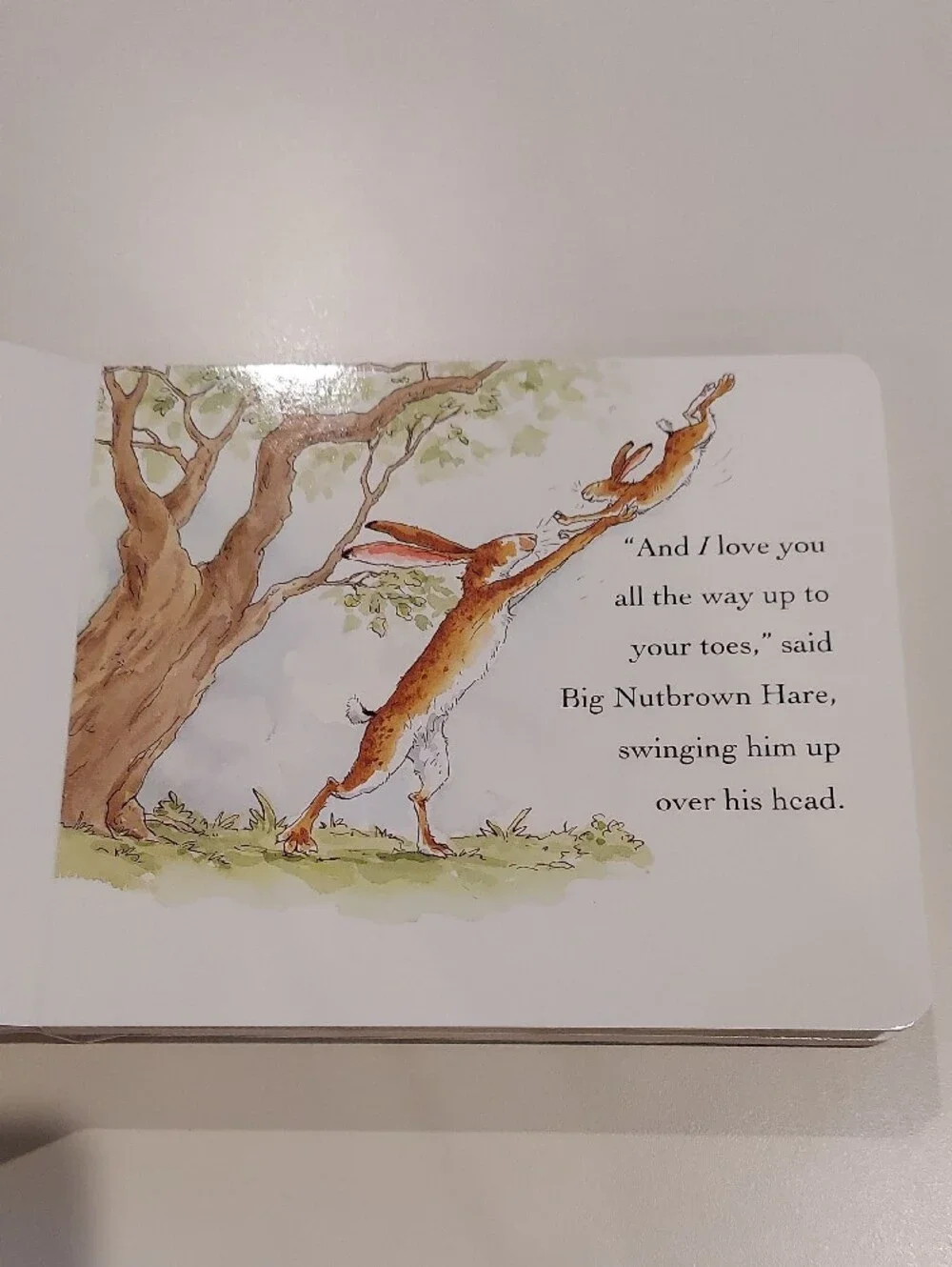 Guess How Much I Love You Board Book